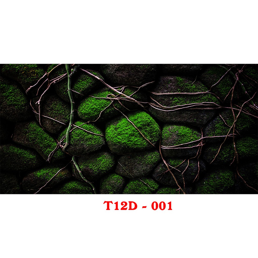 Tranh 3D hồ cá mã T12D-001 bể ( 60,80,90,100,120,150,160 )