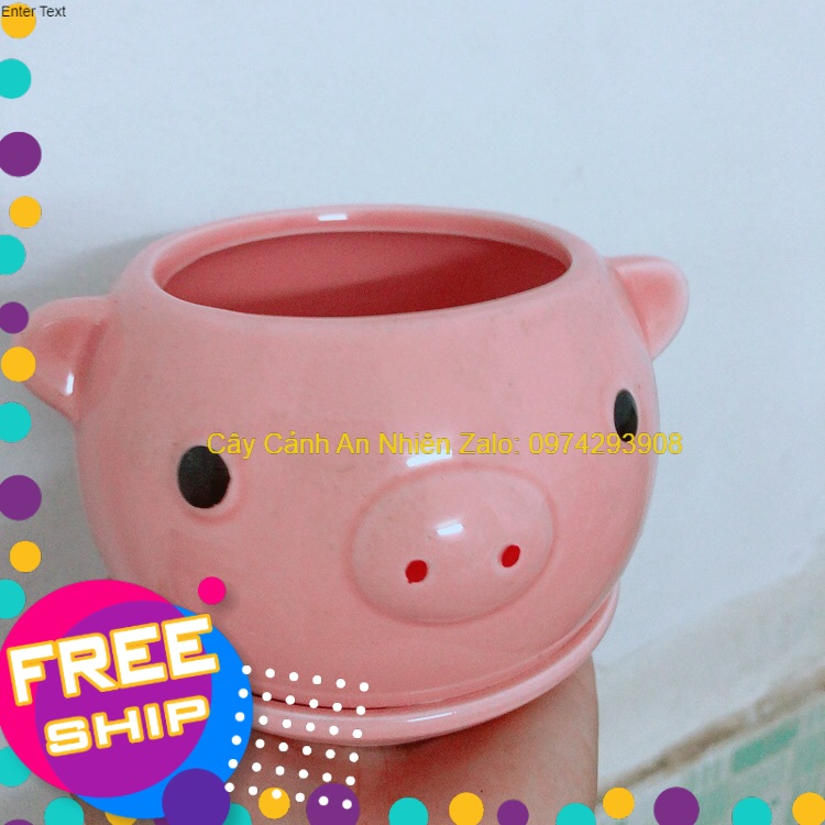 Chậu Trồng Cây Hình Thú Ngộ Nghĩnh