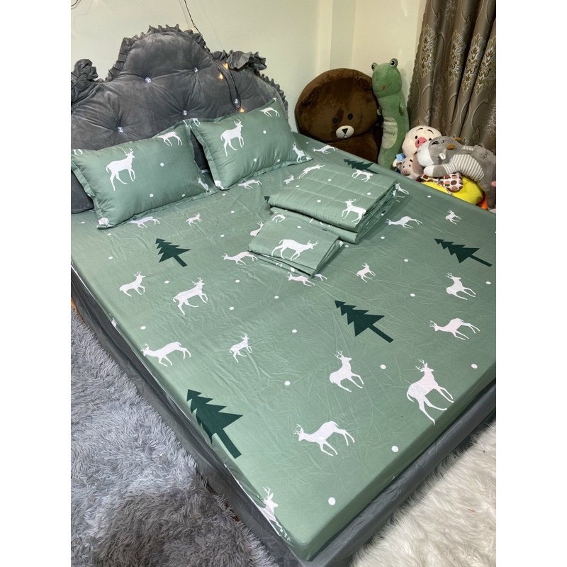 Bộ ga gối cotton poly đủ size , drap trải nệm chun bọc 1m2 1m6 1m8.