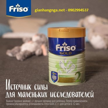 SỮA FRISO GOLD NGA 800GR SỐ 1-2-3