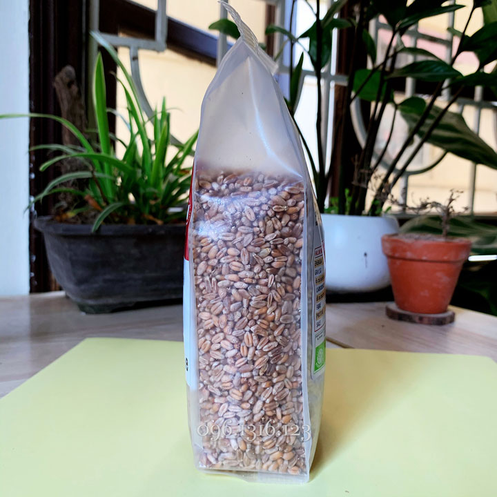 Hạt giống lúa mì hữu cơ Sottolestelle 500g - Ý