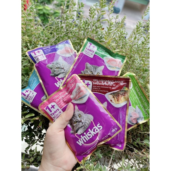 Pate Whiskas Mèo Lớn Gói 80G