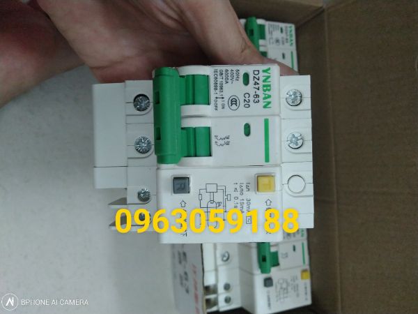 Aptomat chống giật 2 pha C 20 A