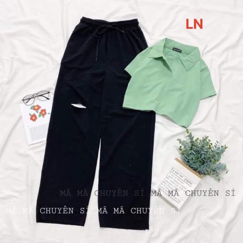Set áo thun croptop polo cổ bẻ + quần ống rộng rách gối