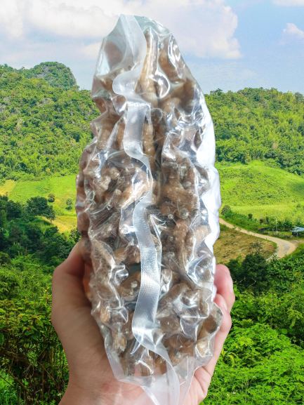 Sá Sùng Khô Quan Lạn Đặc Biệt