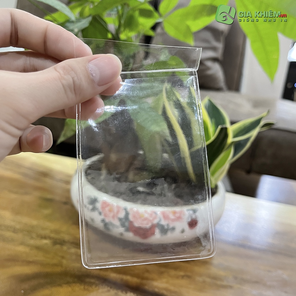 Toploader nhựa dẻo bọc bảo vệ card CCCD size 6x9.5cm
