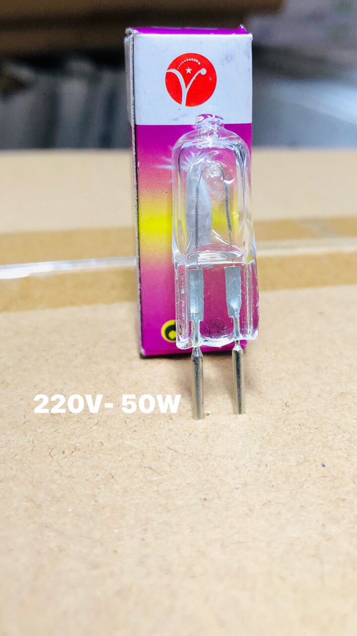 COMBO 10 Bóng Ghim 50W 220V