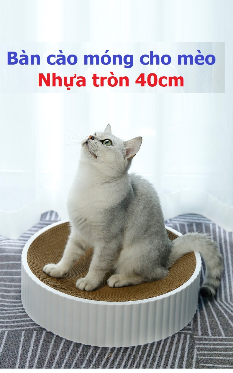 Bàn cào móng cho mèo (nhựa tròn 40cm)