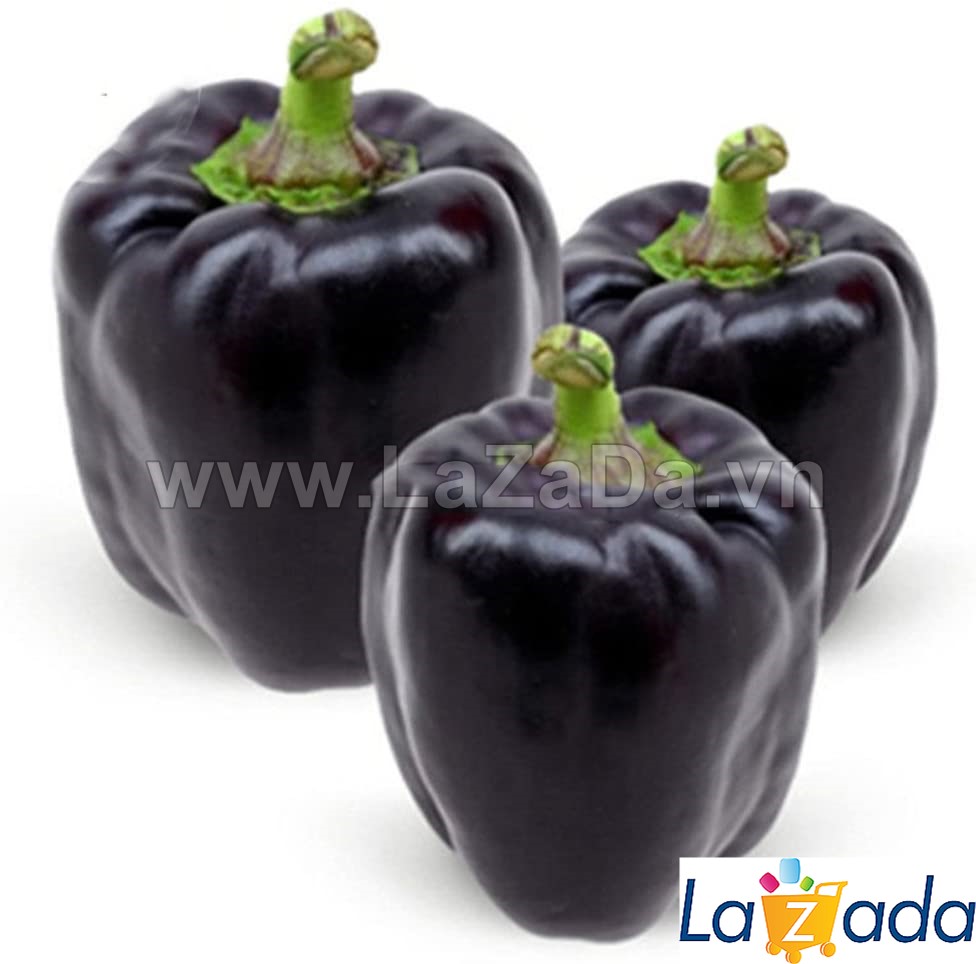 40h Hạt Giống Ớt Chuông Ngọt Mix Màu (A2.104| C2*W62*M216)