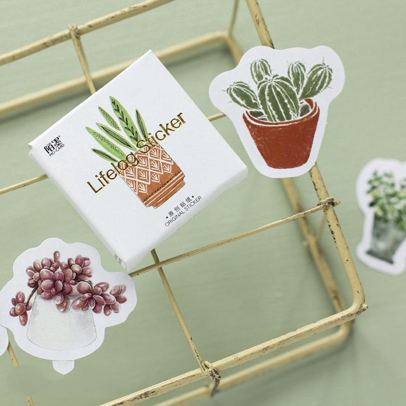 Hộp 45 Sticker Dán Chậu Hoa Vuông