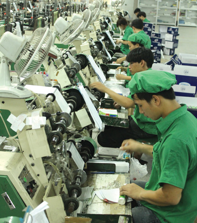 Túi đựng thực phẩm sinh học ECOGREEN THSH 17*28*100 Cái/Cuộn siêu dai