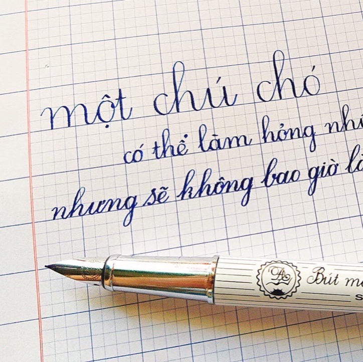 Bút mài Thầy Ánh SH030 ngòi mài thanh đậm