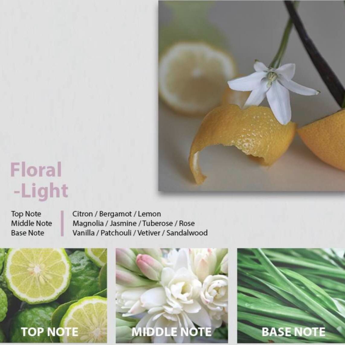 NƯỚC HOA CLAEL PERFUME EDP HÀN QUỐC 8ML.