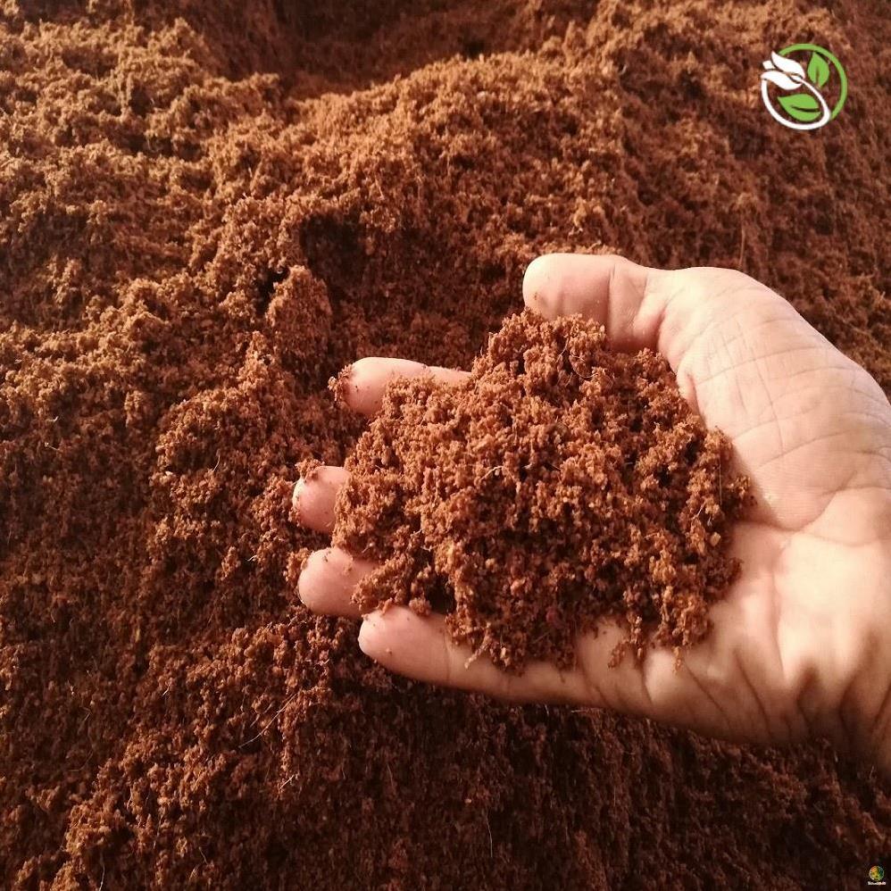 Giá thể mùn dừa trồng rau mầm Hapi Green 2kg