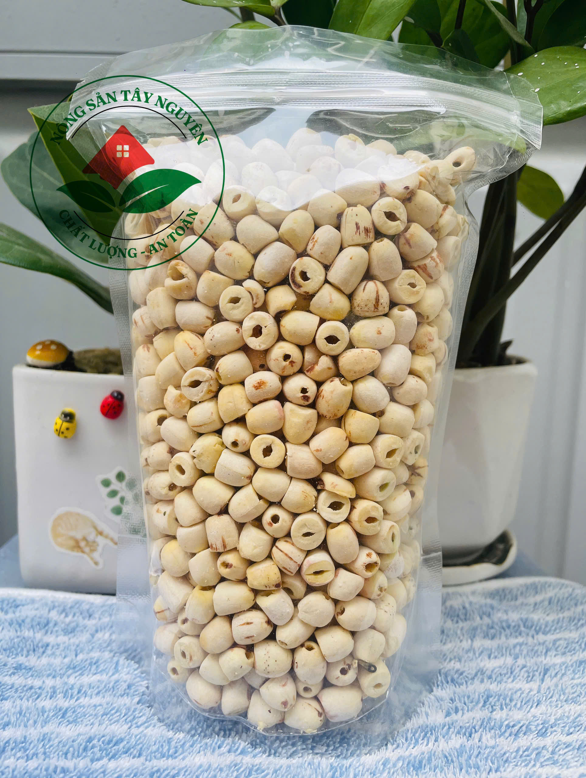 Hạt Sen Khô Đồng Tháp 500gr Sấy Khô Đặc Biệt