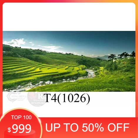 Tranh 3D dán bể cá cảnh hồ thuỷ sinh