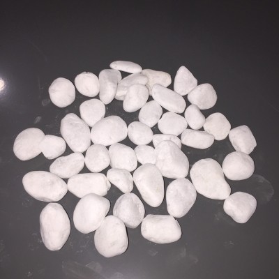 Sỏi trắng trang trí tiểu cảnh, trang trí bề mặt chậu gói 1kg (Vườn Sài Gòn - Vuon Sai Gon)