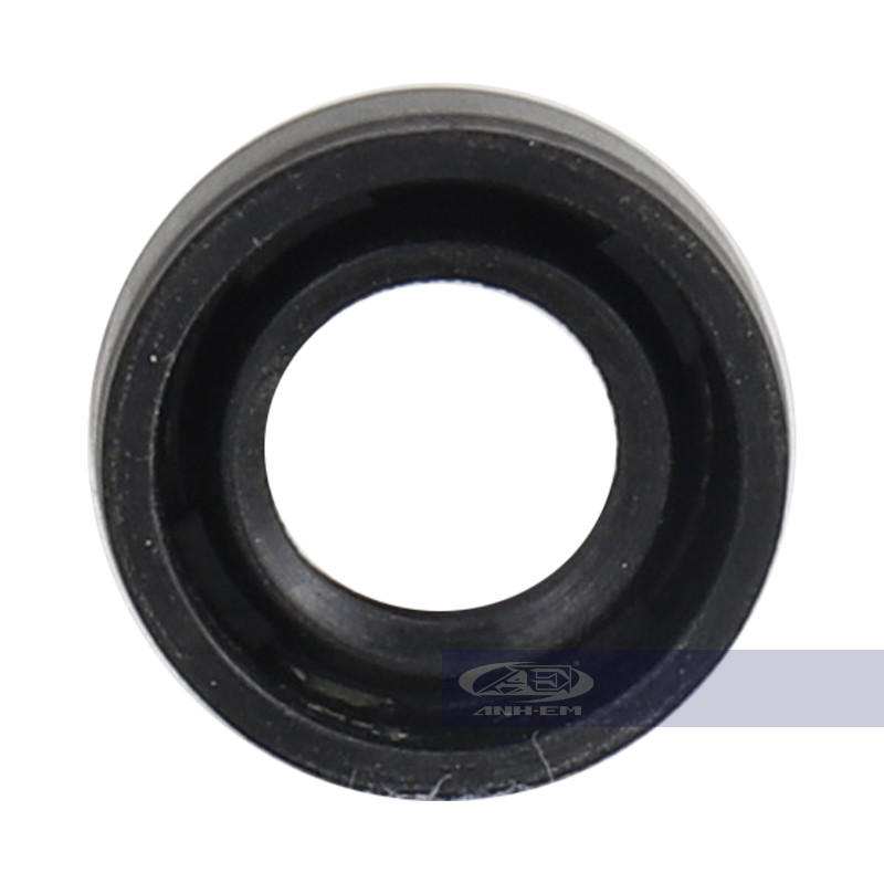 Phốt nồi ampida rgv120-0604