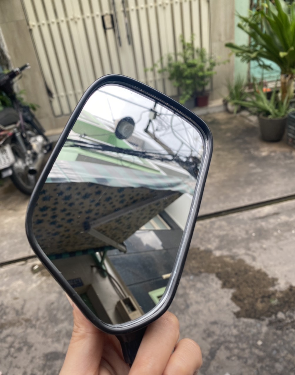 KIẾNG CHIẾU HẬU XE DREAM