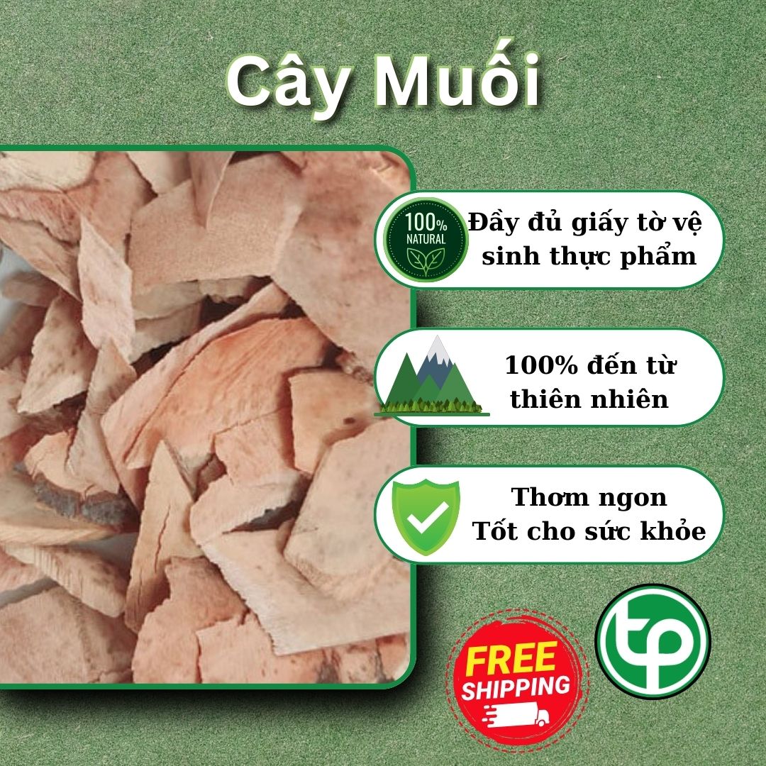 [Hàng mới về] Cây muối sấy khô 1kg - Hỗ trợ cải thiện sức khỏe người sử dụng