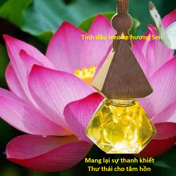 Tinh dầu treo xe hương Sen Hồng - khử mùi hôi - Hơn cả sự đẳng cấp!