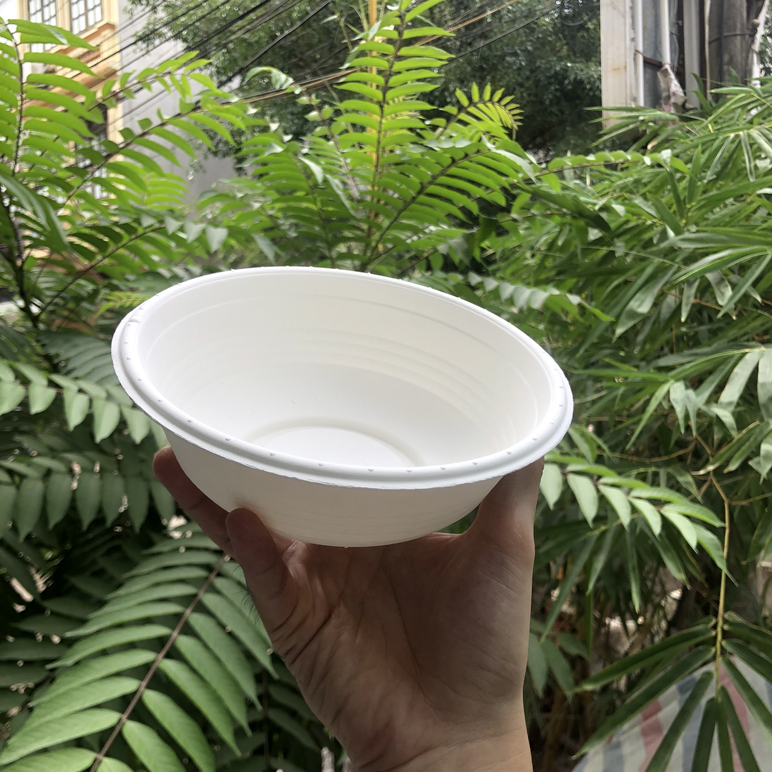 Combo Bát tròn dùng 1 lần bằng giấy bột gỗ Fest Bio 875ml [ 𝙃𝙖̀𝙣𝙜 𝘾𝙝𝙞́𝙣𝙝 𝙃𝙖̃𝙣𝙜 ]