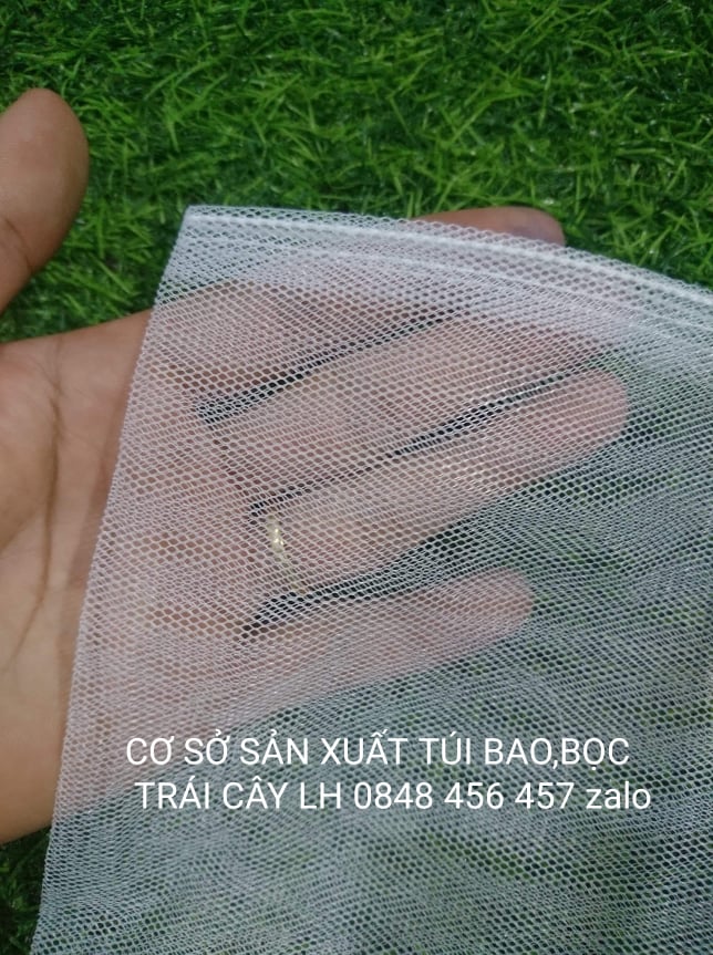 50 CÁI TÚI BAO ,BỌC MÍT THÁI KÍCH THƯỚC 50*70