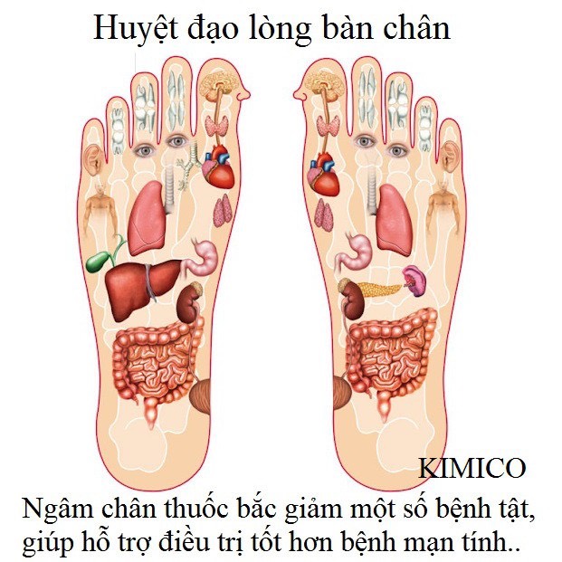 Hộp 50 miếng dán chân thải độc chân Bắc Kinh