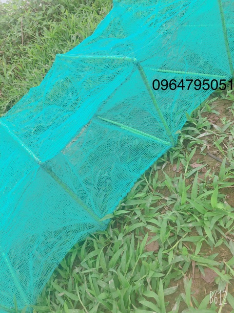 Lưới Lồng Bát Quái Đánh bắt cá - lồng bát quái xăm, chã  (cam kết đổi trả trong 2 tuần đầu)