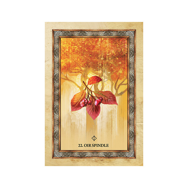 Bộ Bài Celtic Tree Oracle (Mystic House Tarot Shop) - Bài Gốc Authentic Chính Hãng 100%