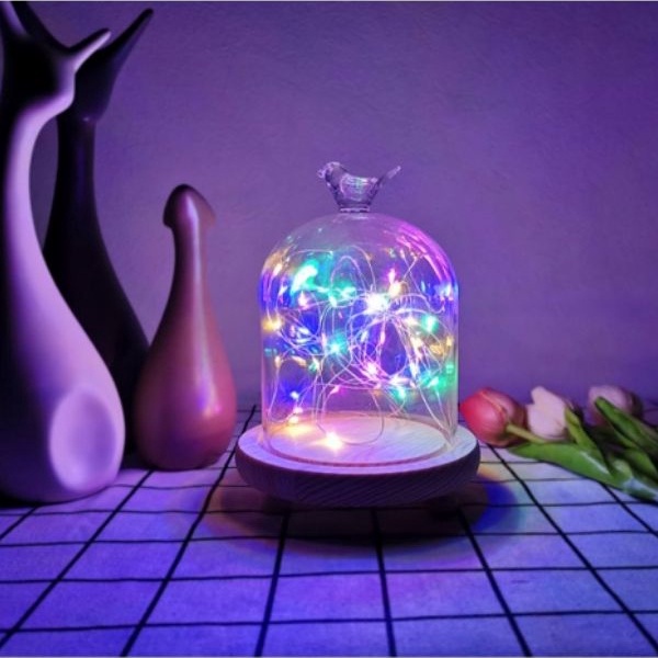 Dây đèn led trang trí có sẵn pin dài 1m-2m