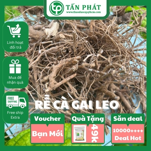[Trà ngon mới nhập về] Rễ cà gai leo 1kg khô - Hàng công ty chất lượng cao hỗ trợ cải thiện sức khoẻ
