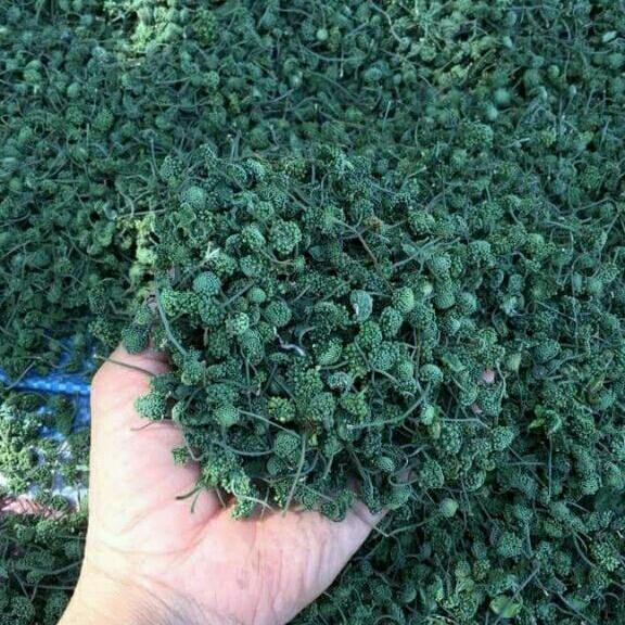 500g nụ hoa tam thất bao tử hàng xanh hàng đẹp