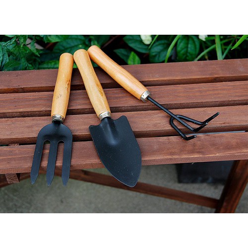Bộ dụng cụ làm vườn -bay - 1 cào - 1 chỉa ba LV12