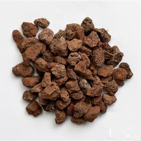 [HCM]NHAM THẠCH LỌC NƯỚC SIZE LỚN HỒ CÁ BỊCH 1KG