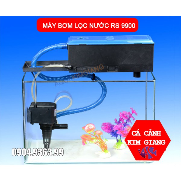 Máy lọc nước bể cá công suất 30W cho bể cá lớn