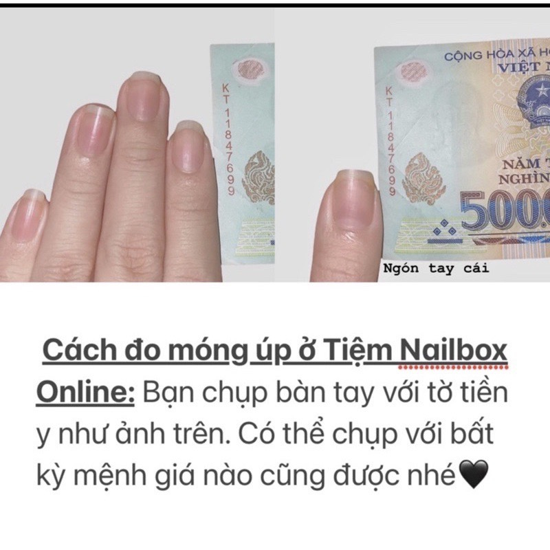 Nailbox sơn thạch mắt mèo đính đá