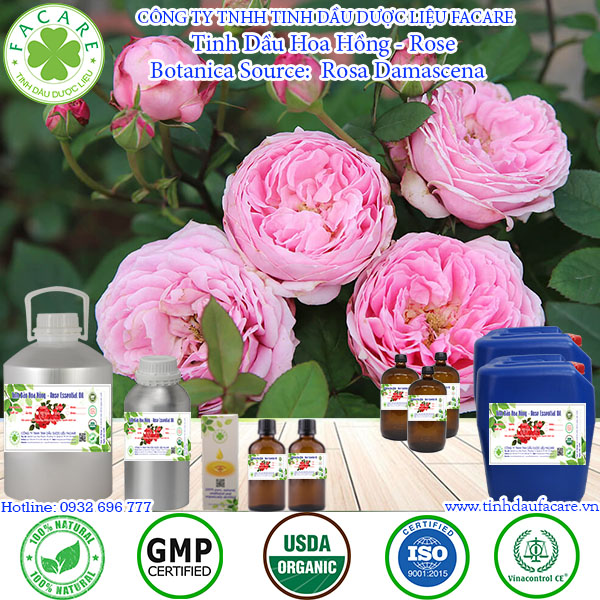 Tinh dầu Hoa Hồng rose essential oil - 10ml