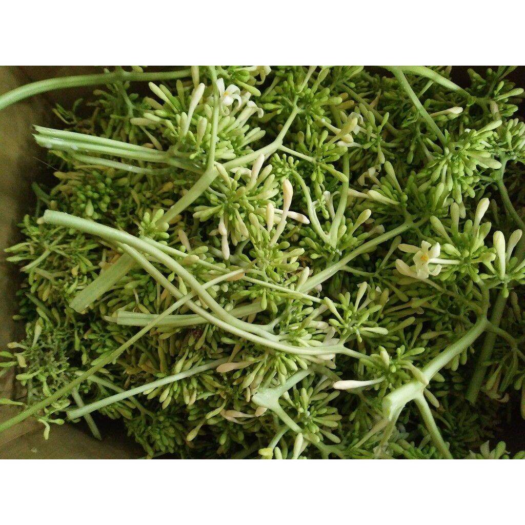 500gr hoa đu đủ đực sấy khô xanh thơm sạch.
