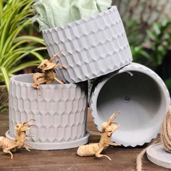 Chậu cây cảnh mini để bàn, chậu Xi măng Decor, Chậu bonsai chính hãng Cori PL10 11x8.5cm, trồng cây cảnh, sen đá, xương rồng