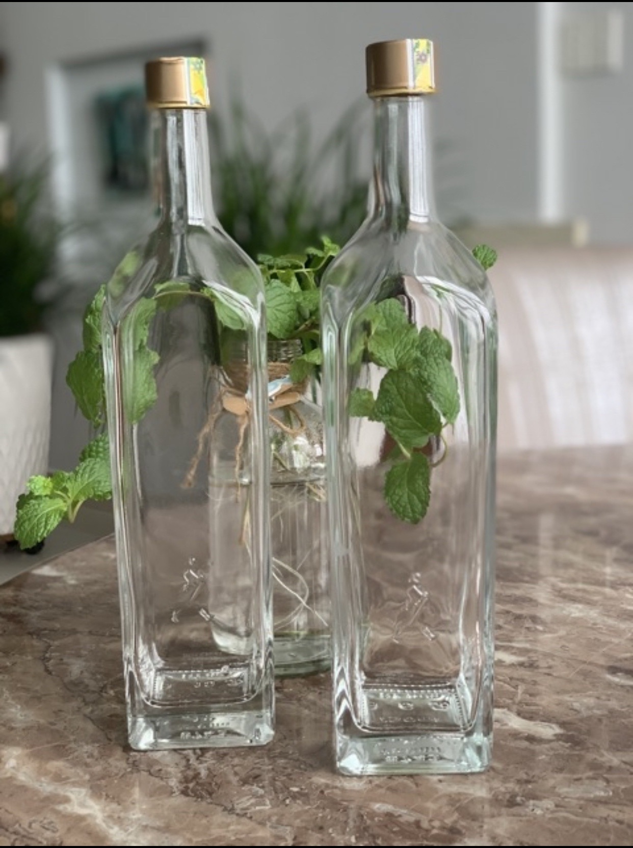 Vỏ chai thuỷ tinh 750ml có nắp