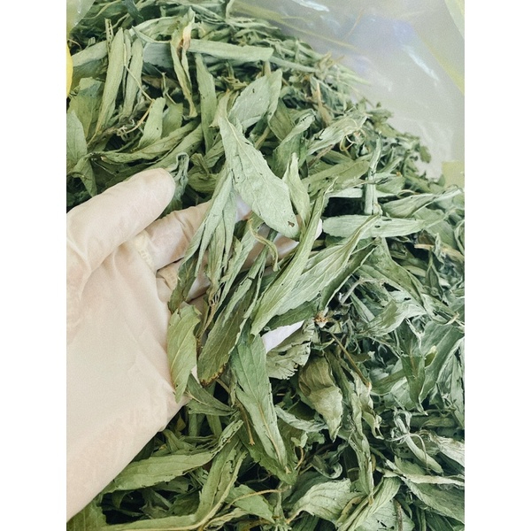 cỏ ngọt nguyên lá phơi khô 1kg