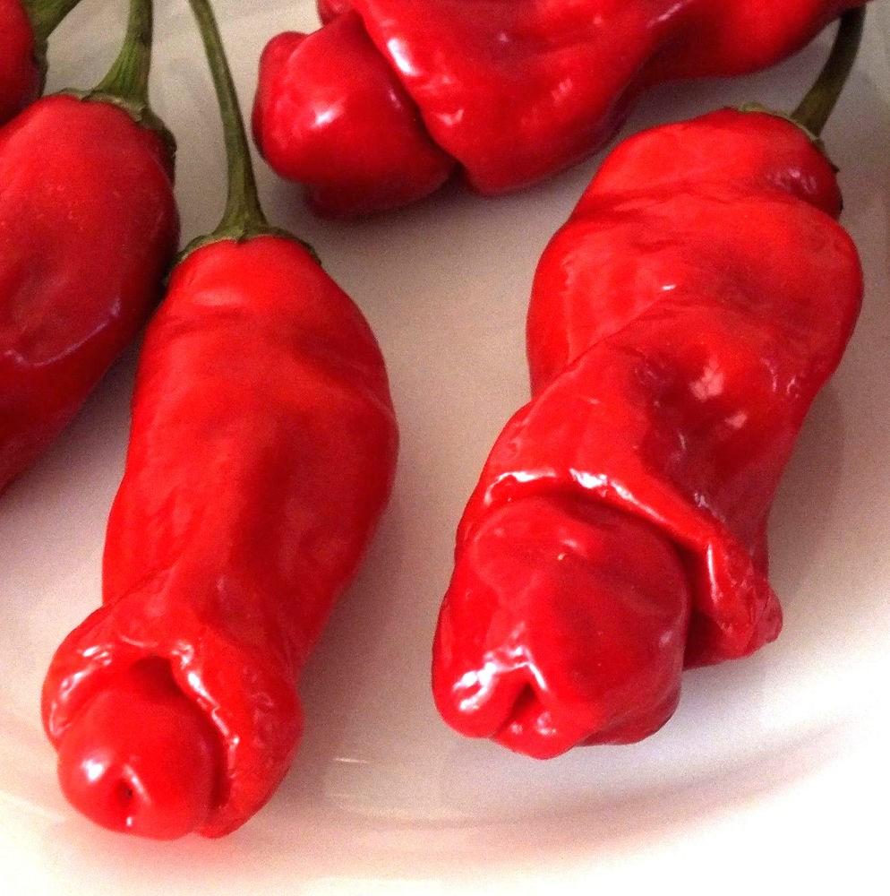 Gói 30 hạt giống ớt peter cu ti