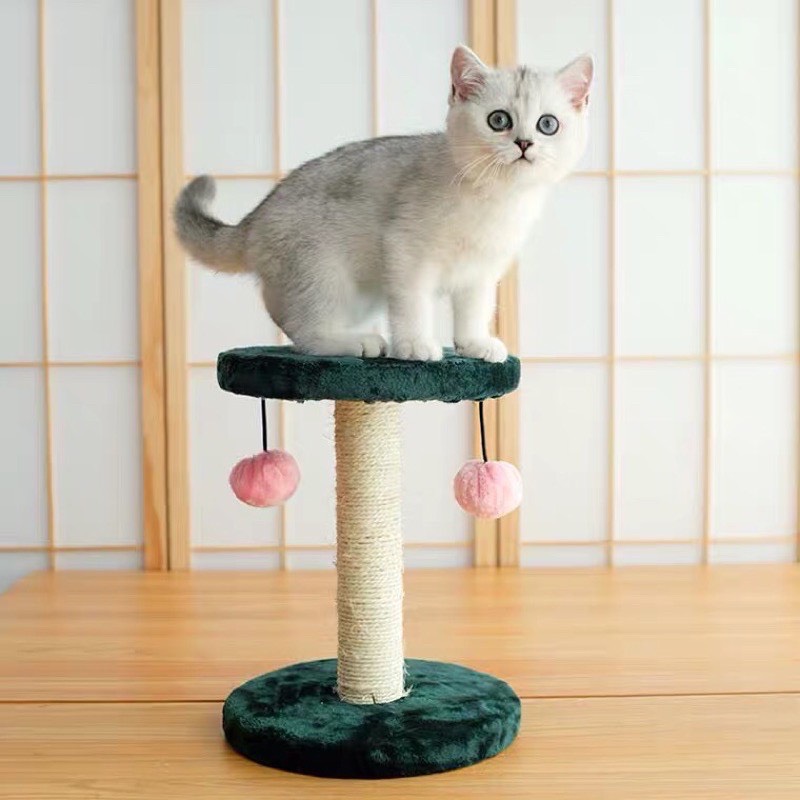 Nhà cây cattree cào móng dành cho mèo cao cấp