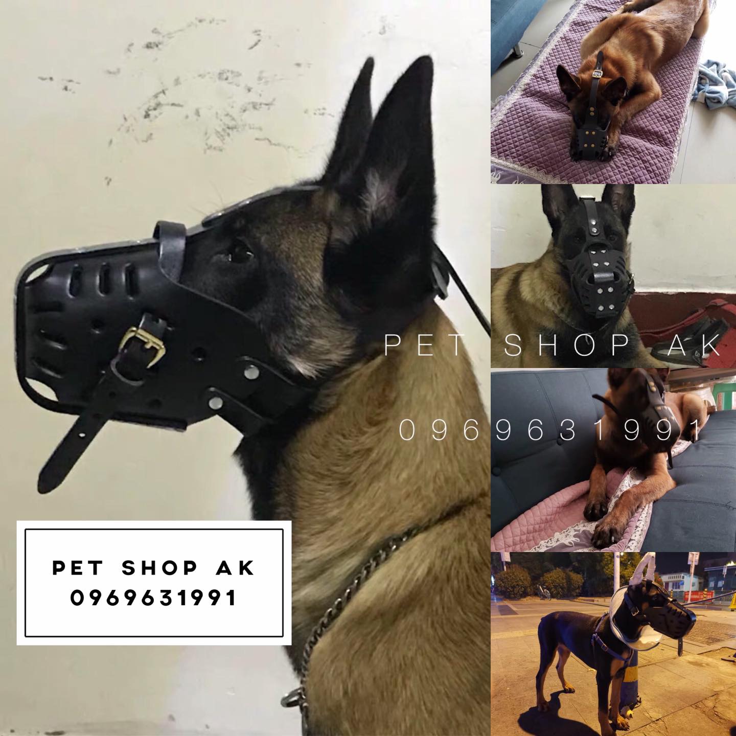 Rọ mõm da bò cho chó quả đấm độc , dụng cụ huấn luyện chó tập