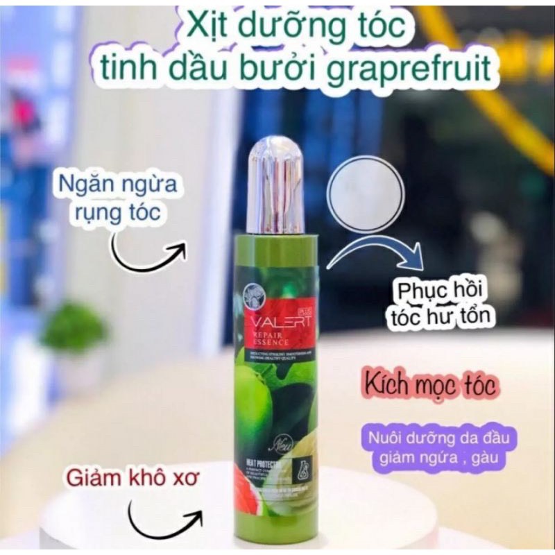 Xịt dưỡng tóc tinh dầu bưởi Valert Repair Essence Plus