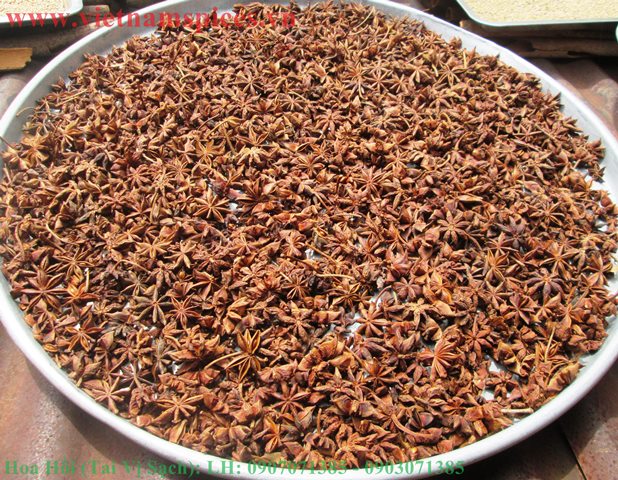 Hoa Hồi Sạch (Tai Vị) Lạng Sơn 200gram