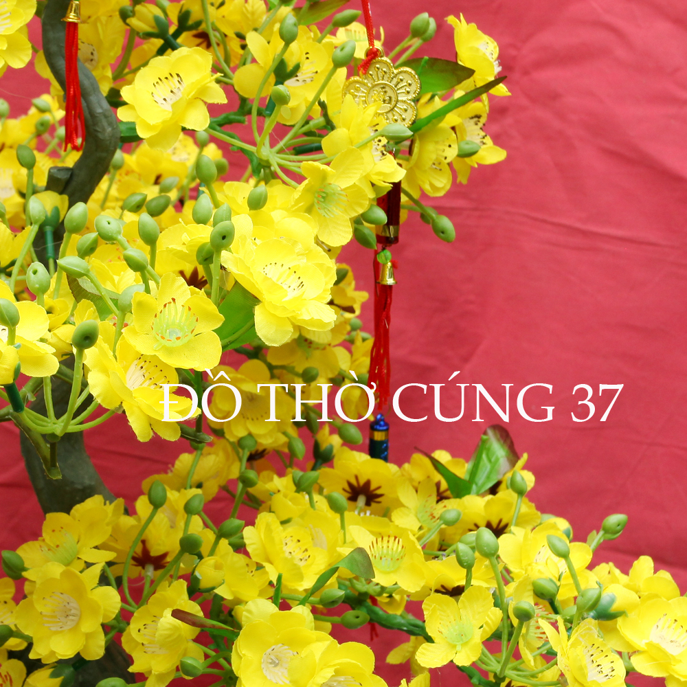 CHẬU MAI GIẢ KIỂU BONSAI