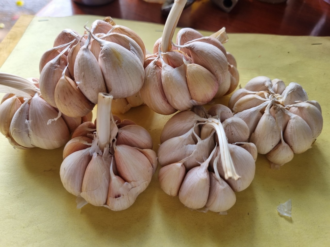 Tỏi tía ( củ nhánh to)