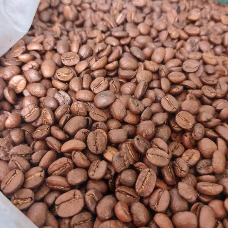 Cà phê hạt nguyên chất, cà phê hạt ROBUSTA 100% Rang Mộc ( 1KG )